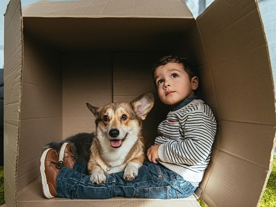 Boy with dog in a parcel