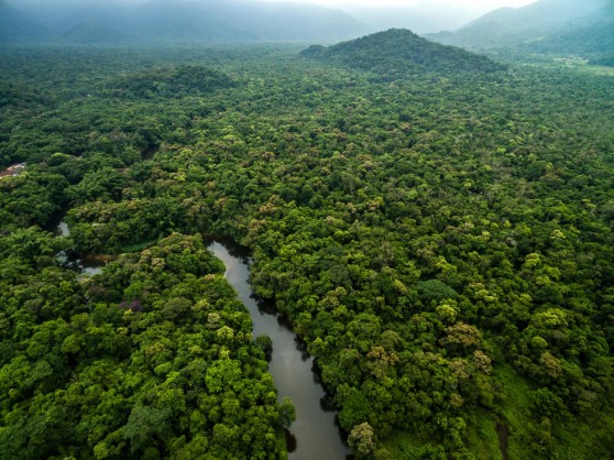 Madre de Dios, Perú