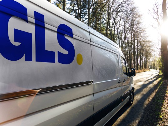 Driver GLS France delivers in Express before 1pm door